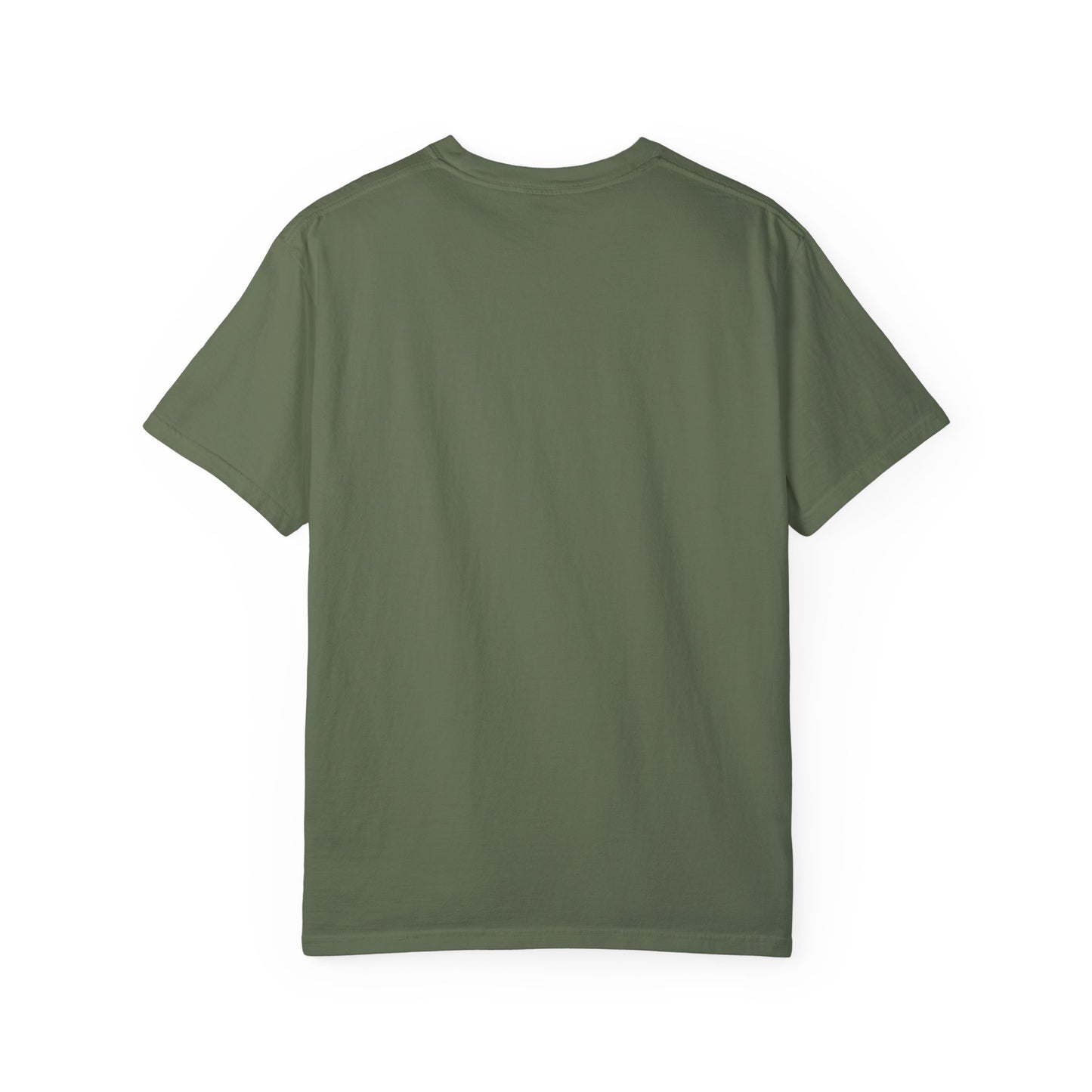 Color Comfort Unisex T-shirt - Take the Risk or Lose a Chance Design - FiftyTees