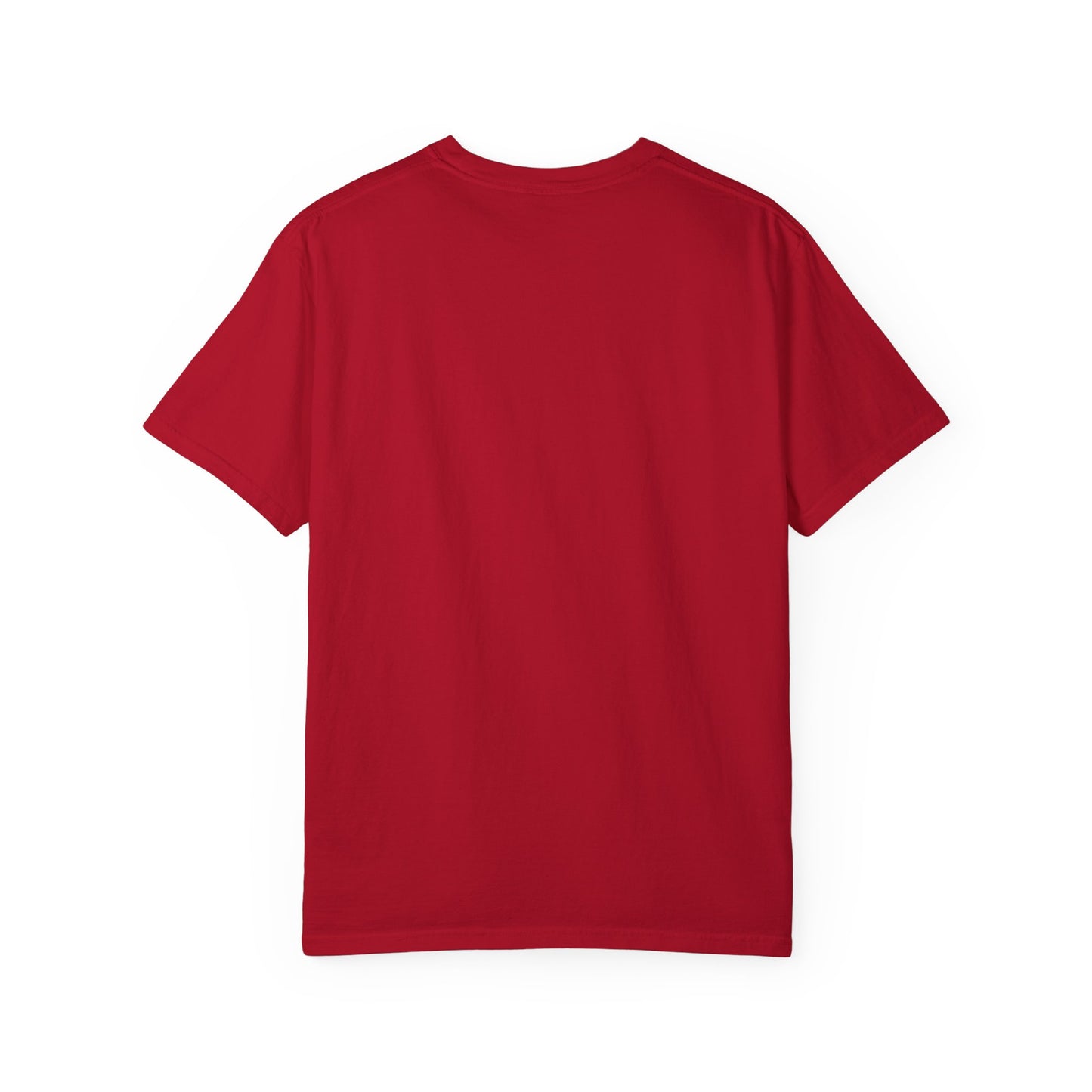 Vintage West South Clothing Company Garment-Dyed T-shirt, Retro Tee, Hipster Shirt, Distressed Top, Graphic Tee for Men and Women - FiftyTees