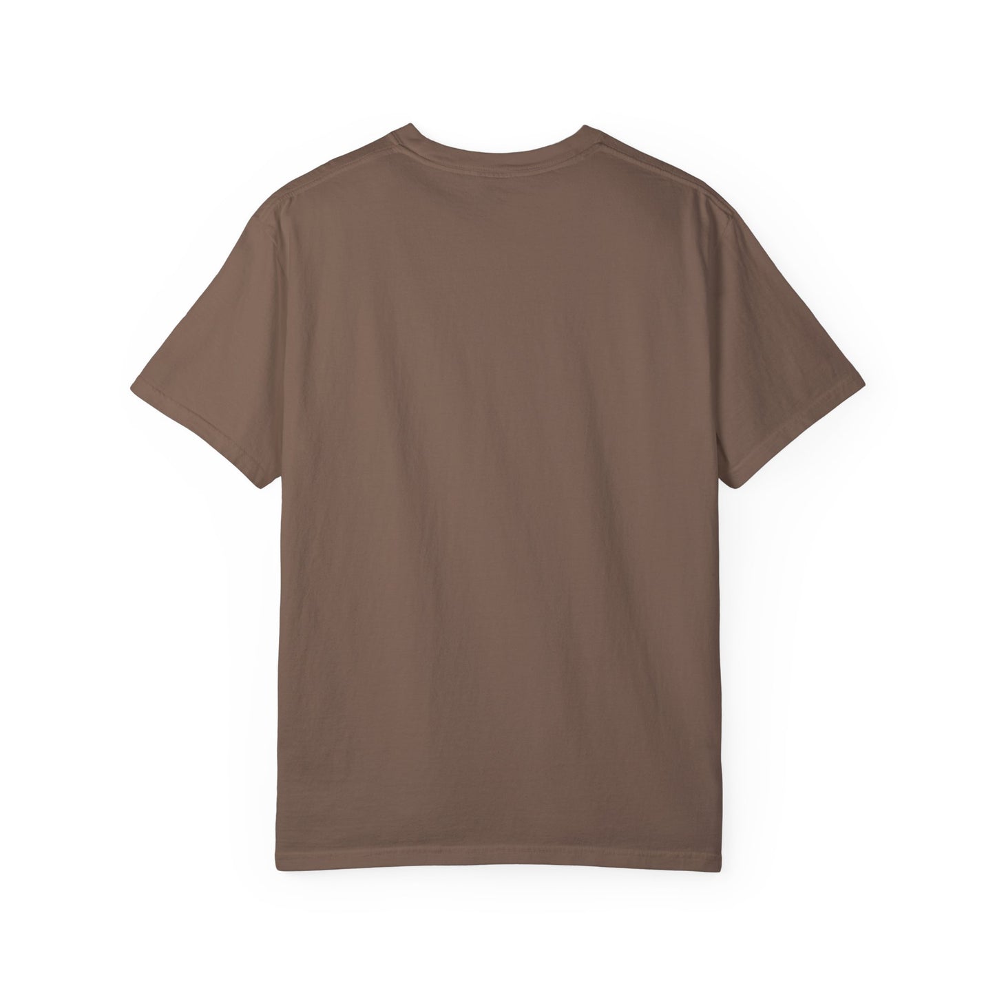 Color Comfort Unisex T-shirt - Take the Risk or Lose a Chance Design - FiftyTees 