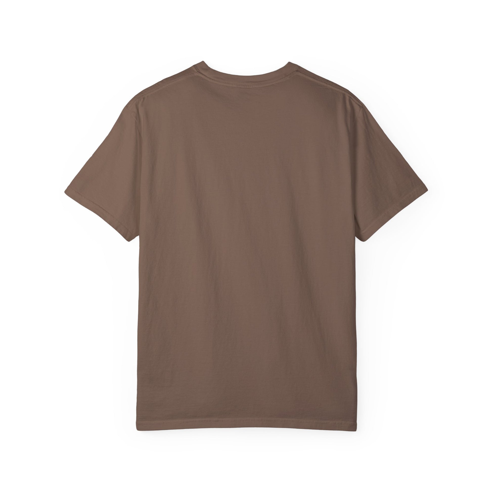 Color Comfort Unisex T-shirt - Take the Risk or Lose a Chance Design - FiftyTees 