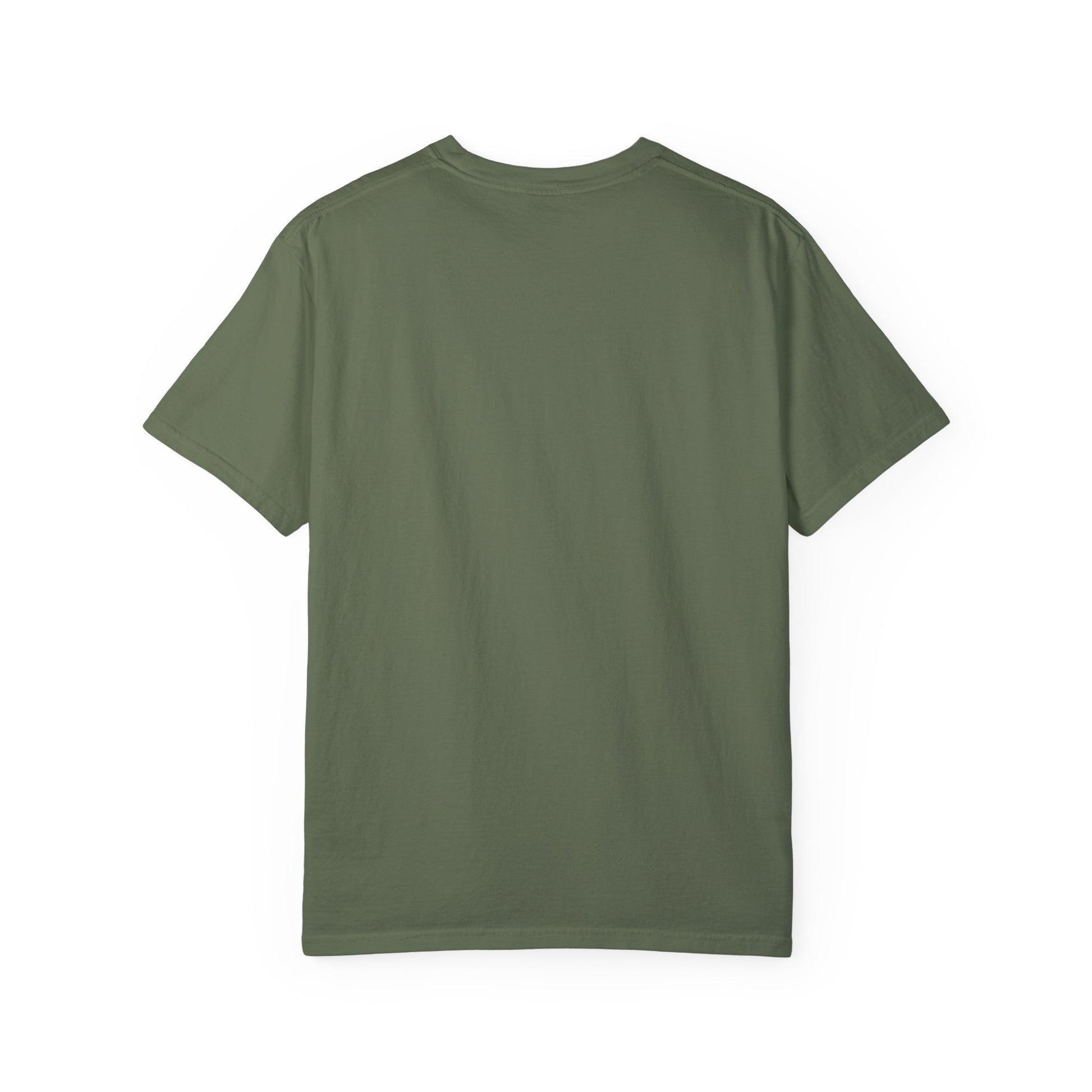 Color Comfort Unisex T-shirt - Take the Risk or Lose a Chance Design - FiftyTees 