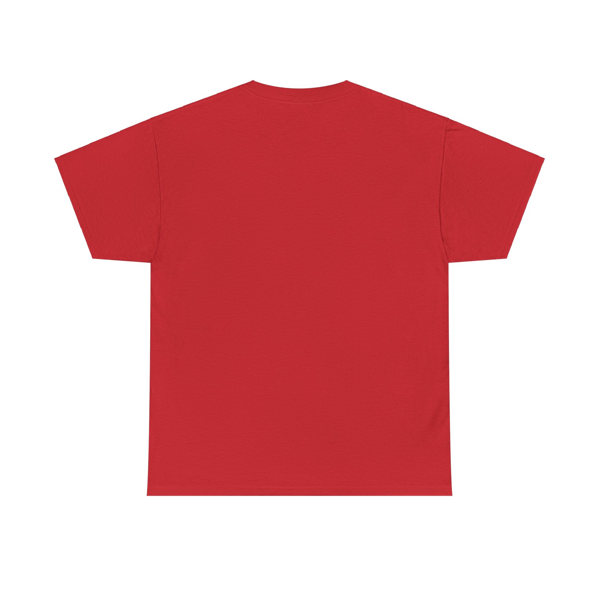Unisex Heavy Cotton Tee - FiftyTees 